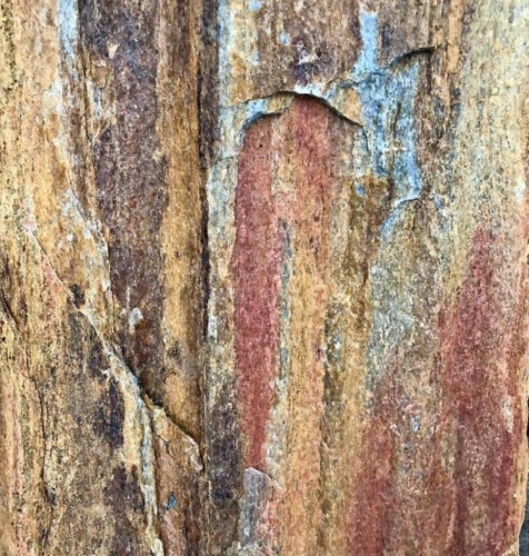 плитняк кора дерева для мощения